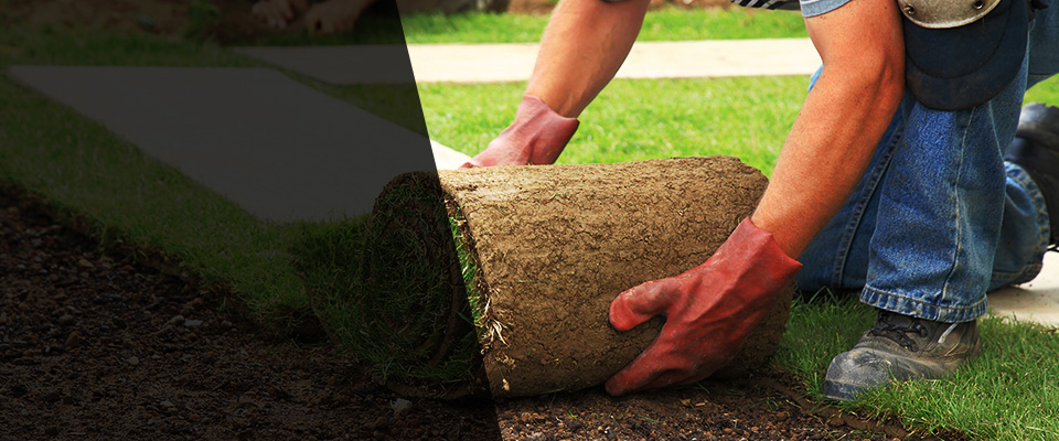Tuskegee Landscapers